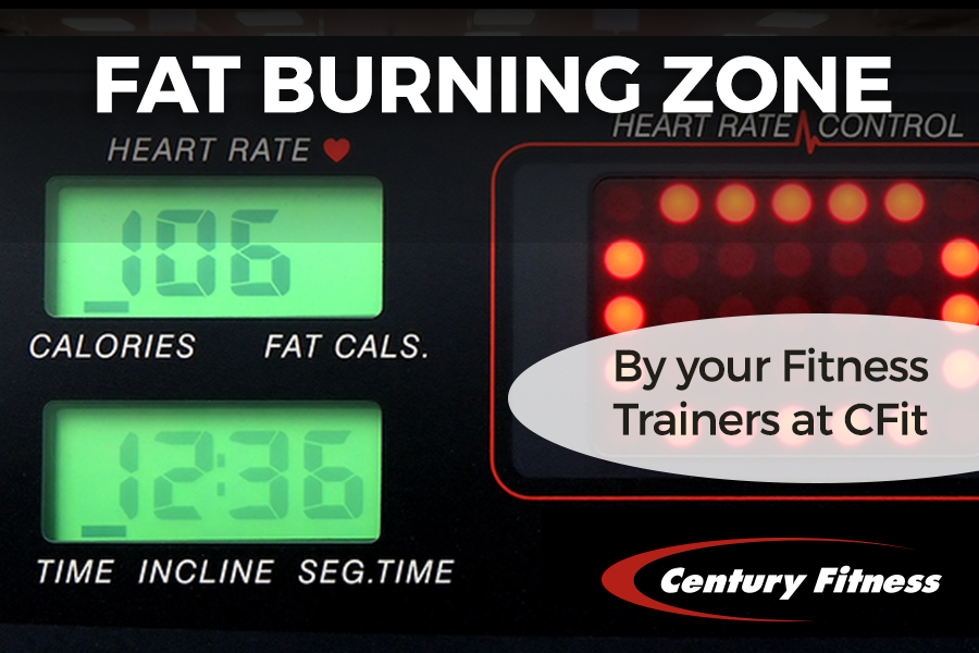 Fat Burning Zone